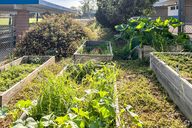Alta Loma's Floyd M. Stork Elementary School has a student garden.