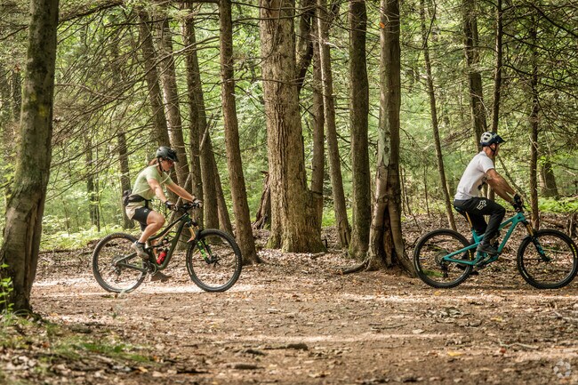 Cowles Park features several trails that are popular for mountain bikers in East Granby.
