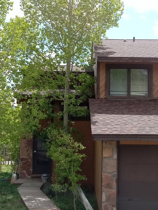 252 Poplar Cir, Silverthorne, CO 80498