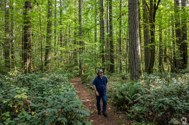 Seaquest State Park offers densely wooded hiking trails.