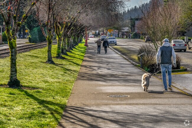 Squak Mountain residents enjoy the early morning sun on their daily walk.