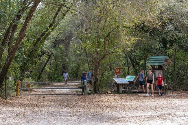 Get away from it all on the Pine Beach Trail in Bon Secour National Wildlife Refuge.