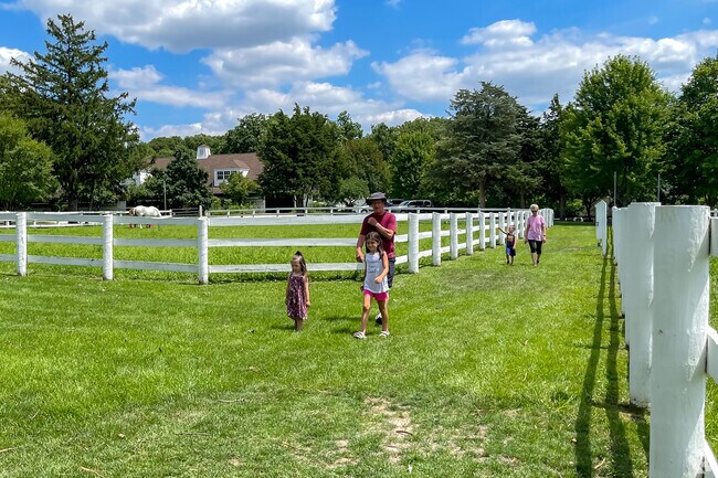 A family enjoying a walk through Danada  Equestrian Center and Forest Preserve.