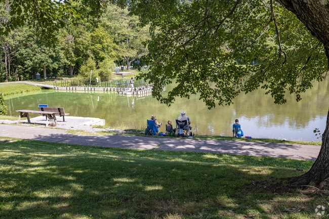 Take your family to Burrell Lake Park and enjoy a day of fishing together.