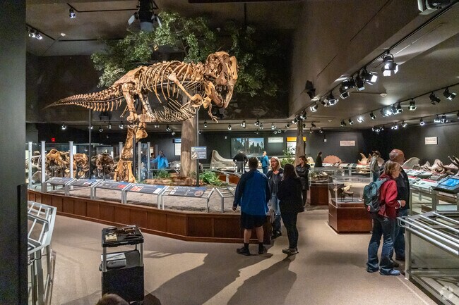 There are incredible displays at the Museum of the Rockies near East Bozeman.