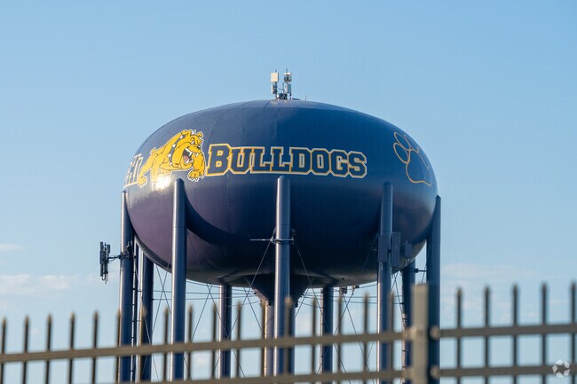 The Bulldog is the official mascot of Hidalgo County's McAllen High School.