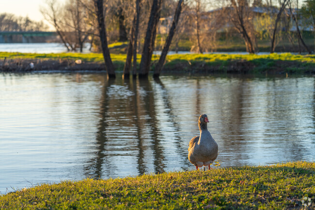 Wildlife lovers come to Red Bluff River Park to bird watch.