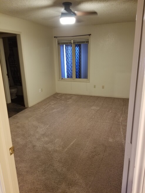 Back bedroom