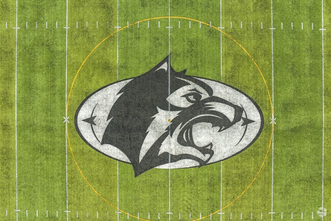 Roseville Area High School's Mascott is the Raider.