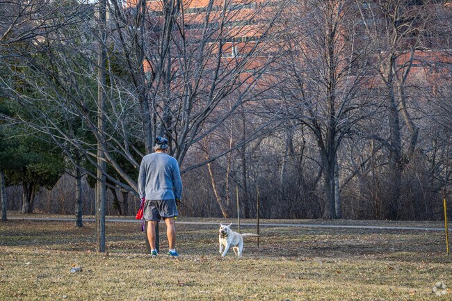 in the Cedar-Riverside neighborhood.