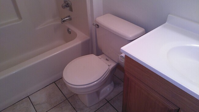 133 Dublin Ln unit 133, Festus, MO 63028 - photo 6