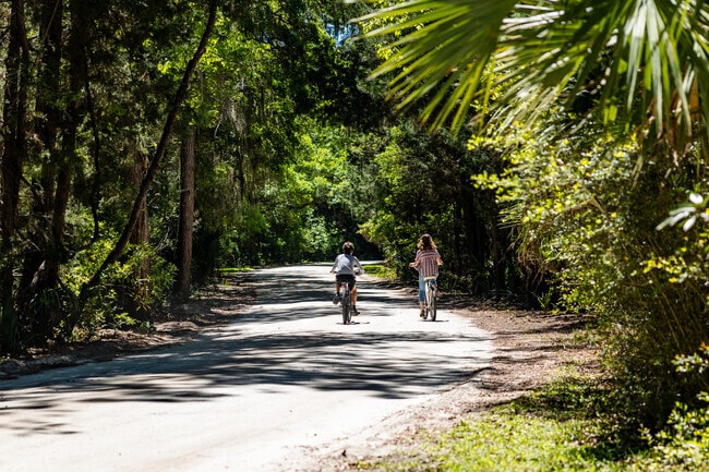 Go For A Bike Ride And Explore Trails At The Edisto State Park
