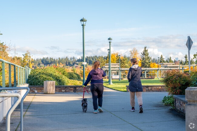 Many residents like to walk their dogs through the parks in the Medina neighborhood.