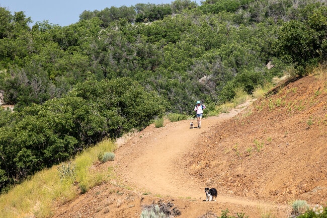 There is an abundance of hiking trails around the Kamas Valley area that residents can explore.