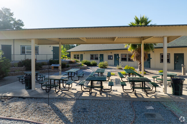 Pioneer High School students can eat lunch outdoor.