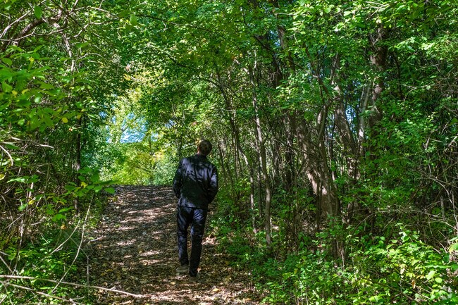 Shorecrest residents might find themselves wandering the many paths of Pheasant Creek.