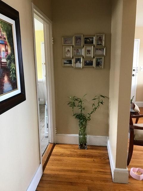 461 Arborway unit 2, Jamaica Plain, MA 02130 - photo 7