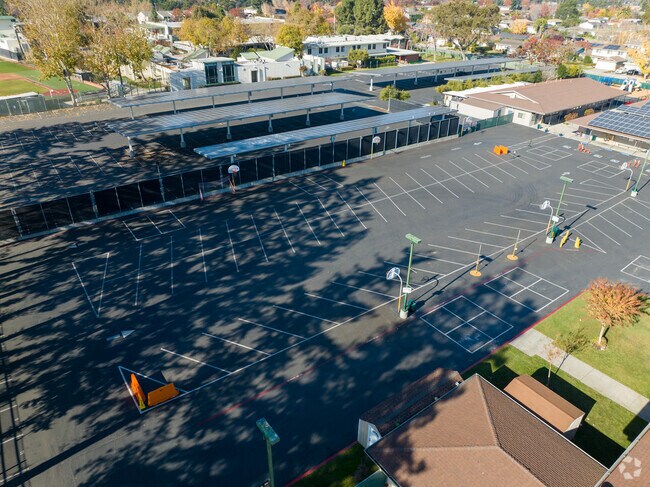 Empowering minds at Queen of Apostles School.