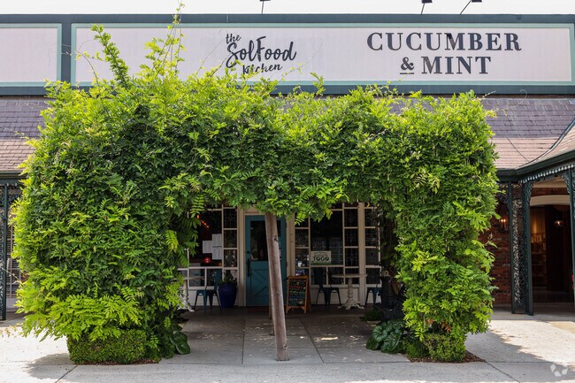 Solfood in Surrey Plaza offers some of the best atmosphere and food in West Augusta.