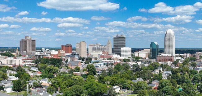 The Winston Salem skyline sits just beyond the trees in New Sherwood Forest