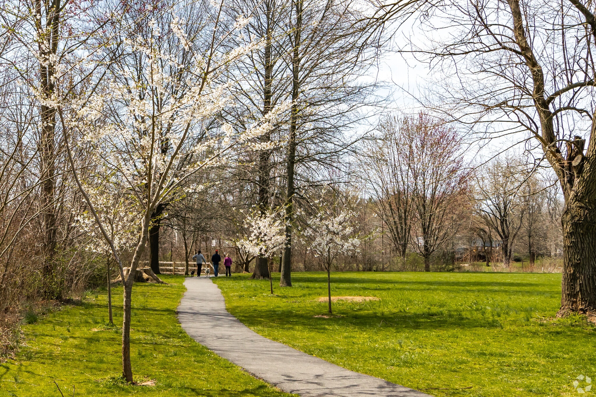 About Clover Hill Schools, Demographics, Things to Do