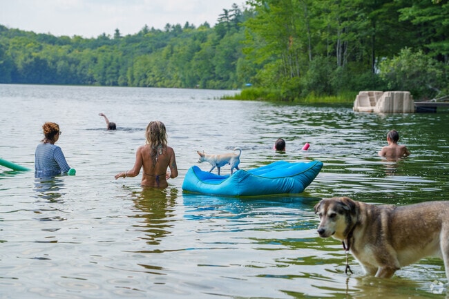 Even the dogs enjoy taking a dip and staying cool at Bradley Lake in Andover.