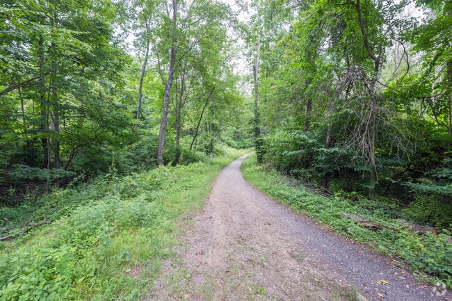 The Air Line State Trail is a park that offers about 50 miles of hiking through Lebanon and other towns in Connecticut.