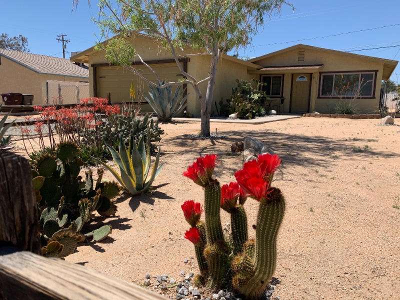 6186 Chia Ave, Twentynine Palms, CA 92277 - photo 1