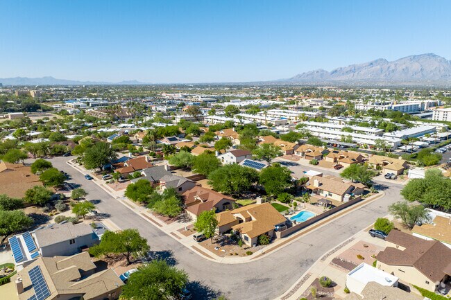 Broadway Pantano East tends to have more mature, tall trees than it's newer adjacent neighbors.