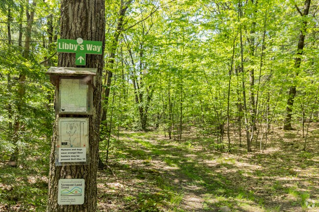 Putney Mountain near Brookline offers peaceful trails and is a perfect escape into Vermont's natural beauty.