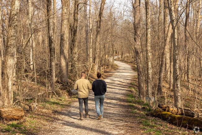 Take a walk into solitude at Leonard Springs Nature Park in Stanford.