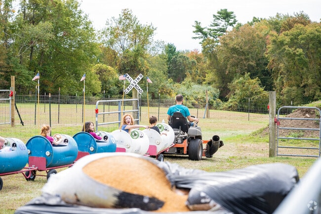 Freetown offers fun family-friendly events all year.