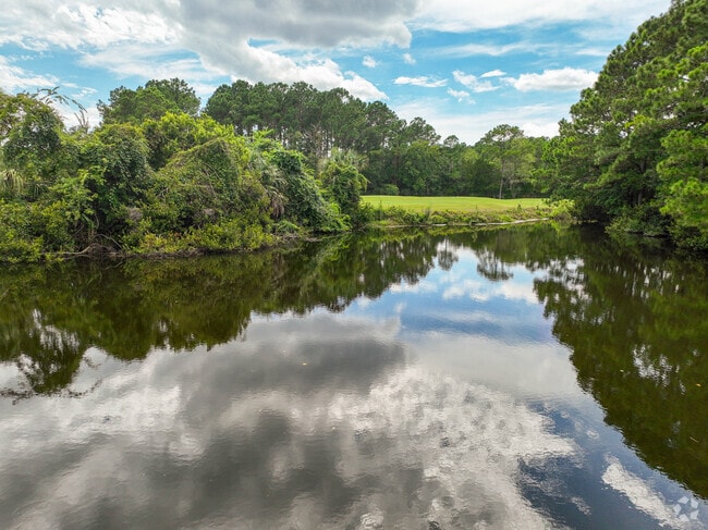 Many lagoons and ponds are hidden within the beautiful Charleston National neighborhood.