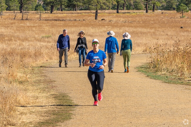 Hiking trails can be found through Flagstaff including the Forest Highlands area.