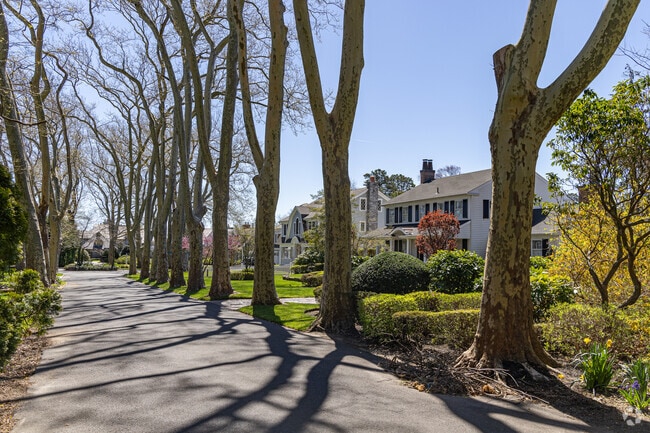 The quiet neighborhood in Brielle is flanked by sycamore trees lining the street.