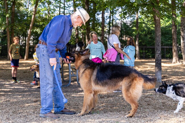 Wood Forest residents can take their dogs out to Admiral Bark Dog Park to play with friends.