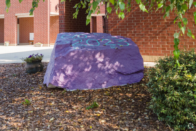 A rock with school spirit in Piedmont School.