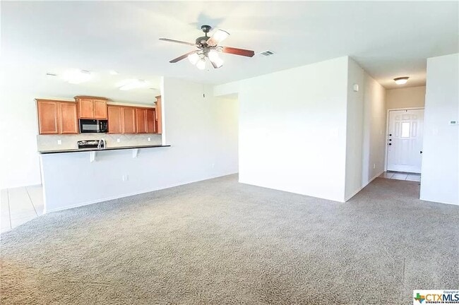 1023 Sugar Brook Dr, Temple, TX 76502 - photo 4