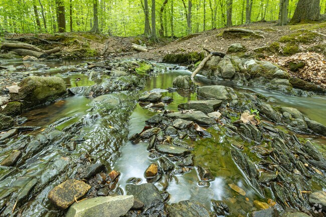 Fairfax Villa Park in George Mason has trails that allow residents to get immersed in nature.