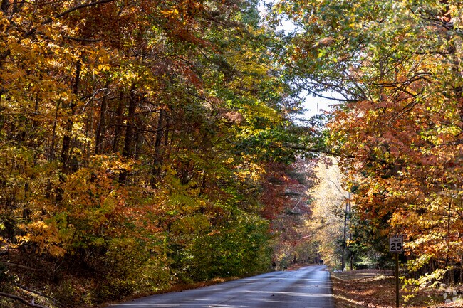 Cloudland Canyon Park is a short 30-minute drive from the Noble neighborhood.