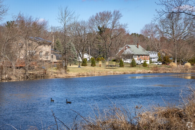 A nesting pair of Canada Geese have settled on the banks of the Rockaway River, next to the old Morris Canal Powerville Dam at Griffith Park in Boonton Township, NJ.