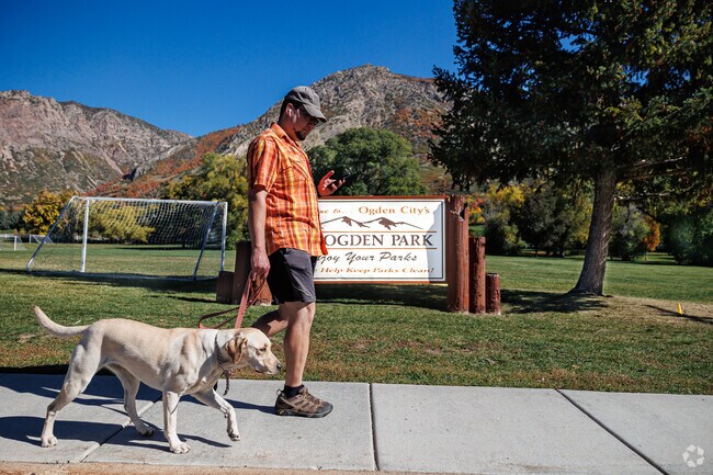A man and his dog enjoy a sunny fall day at Mt Ogden Park.