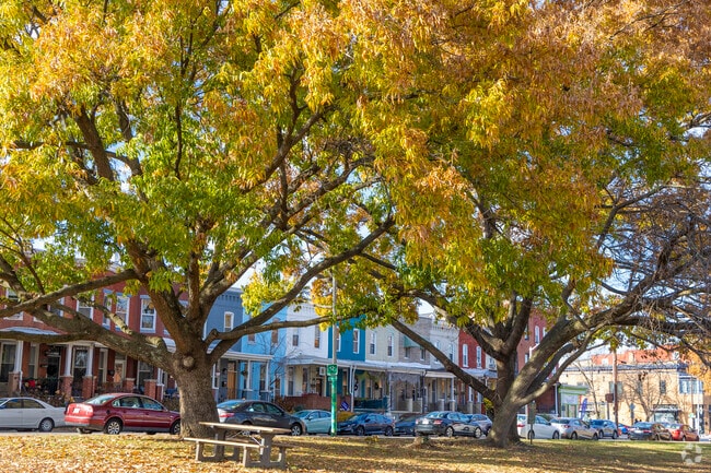 Wyman Park is lovely place to relax under a shady tree.