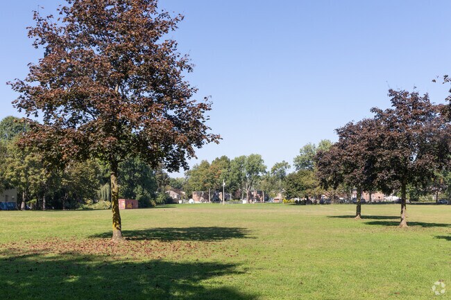 Success Park has an expansive lawn to kick a ball around.