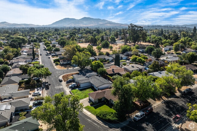 Mount Diablo rises majestically in the background, a stunning sight from every angle.