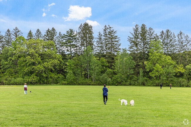 Davis Field in Sudbury fills with pet-loving families enjoying the great outdoors.