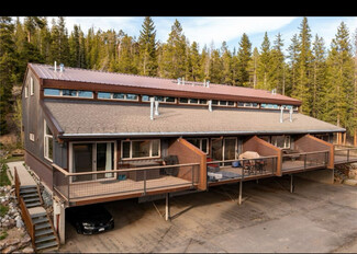 166 S Fuller Placer Rd Unit Wood Glen condos #1, Breckenridge, CO 80424