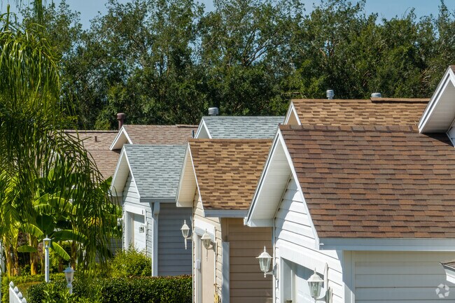 If you have the eye for it, certain patterns will be visible along the streets in Belvedere.