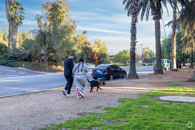 Live Oak Canyon offers so many beautiful places to walk in the neighborhood.