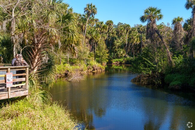 Visitors to Turkey Creek Sanctuary in Palm Bay often spot manatees and turtles.